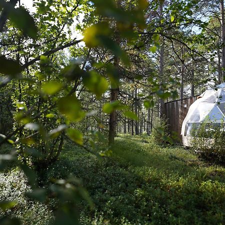 Glod Aurora Canvas Dome Alta Kültér fotó
