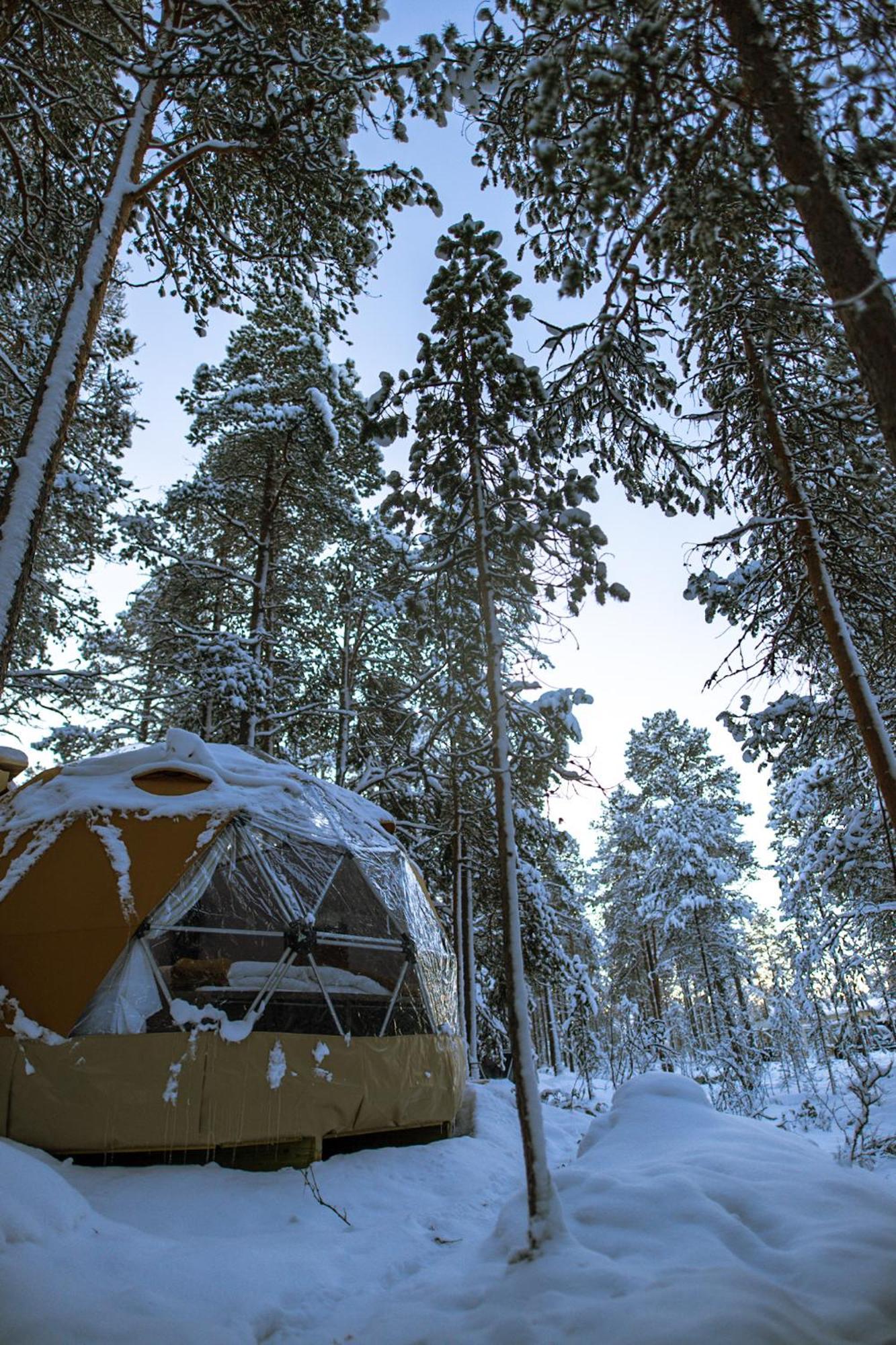 Glod Aurora Canvas Dome Alta Kültér fotó