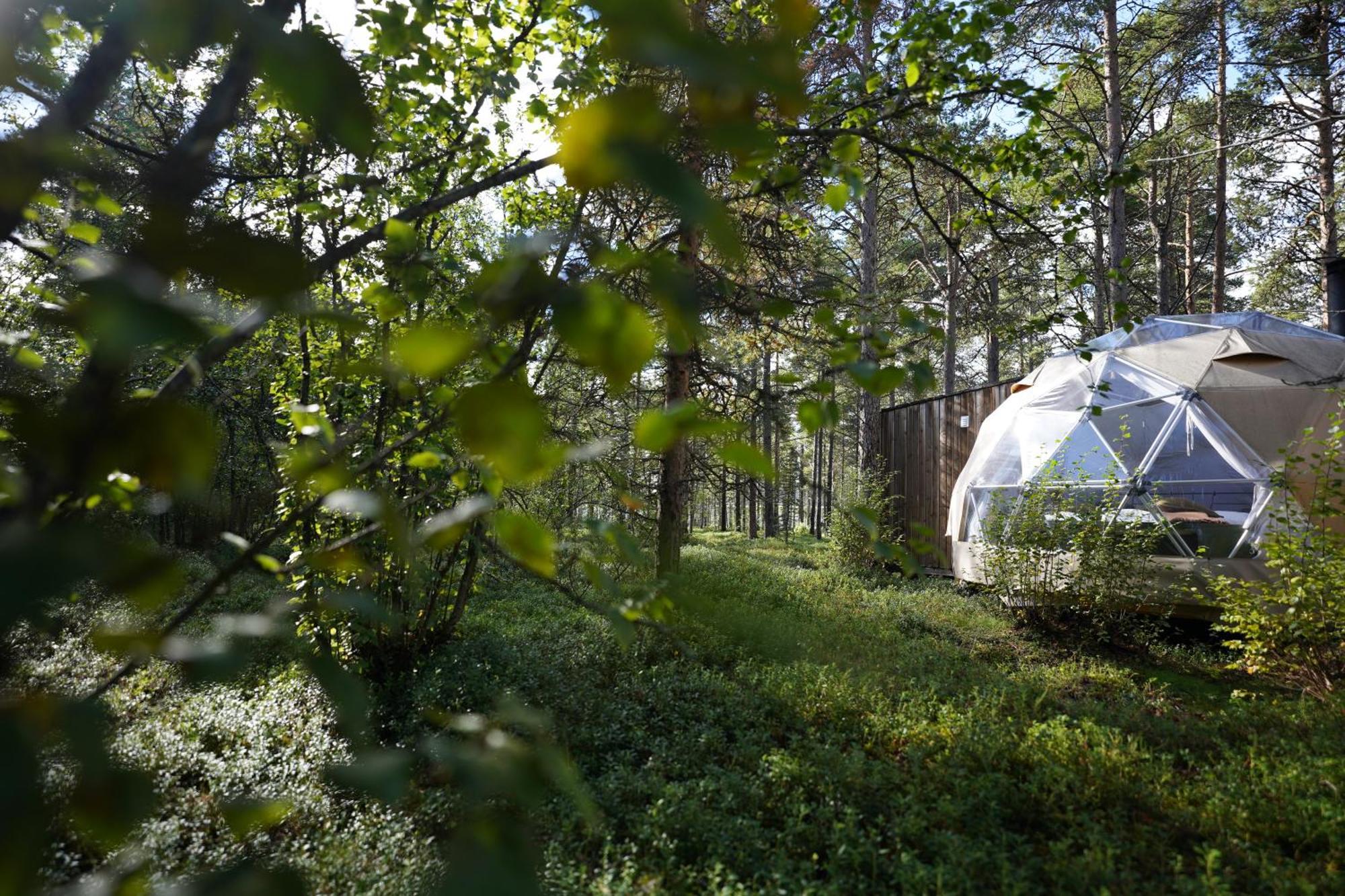 Glod Aurora Canvas Dome Alta Kültér fotó