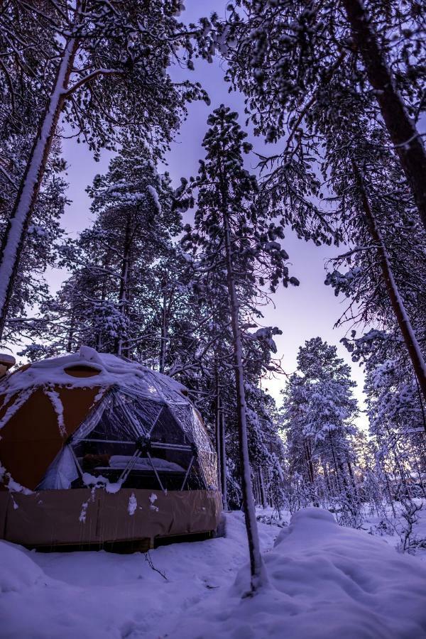 Glod Aurora Canvas Dome Alta Kültér fotó