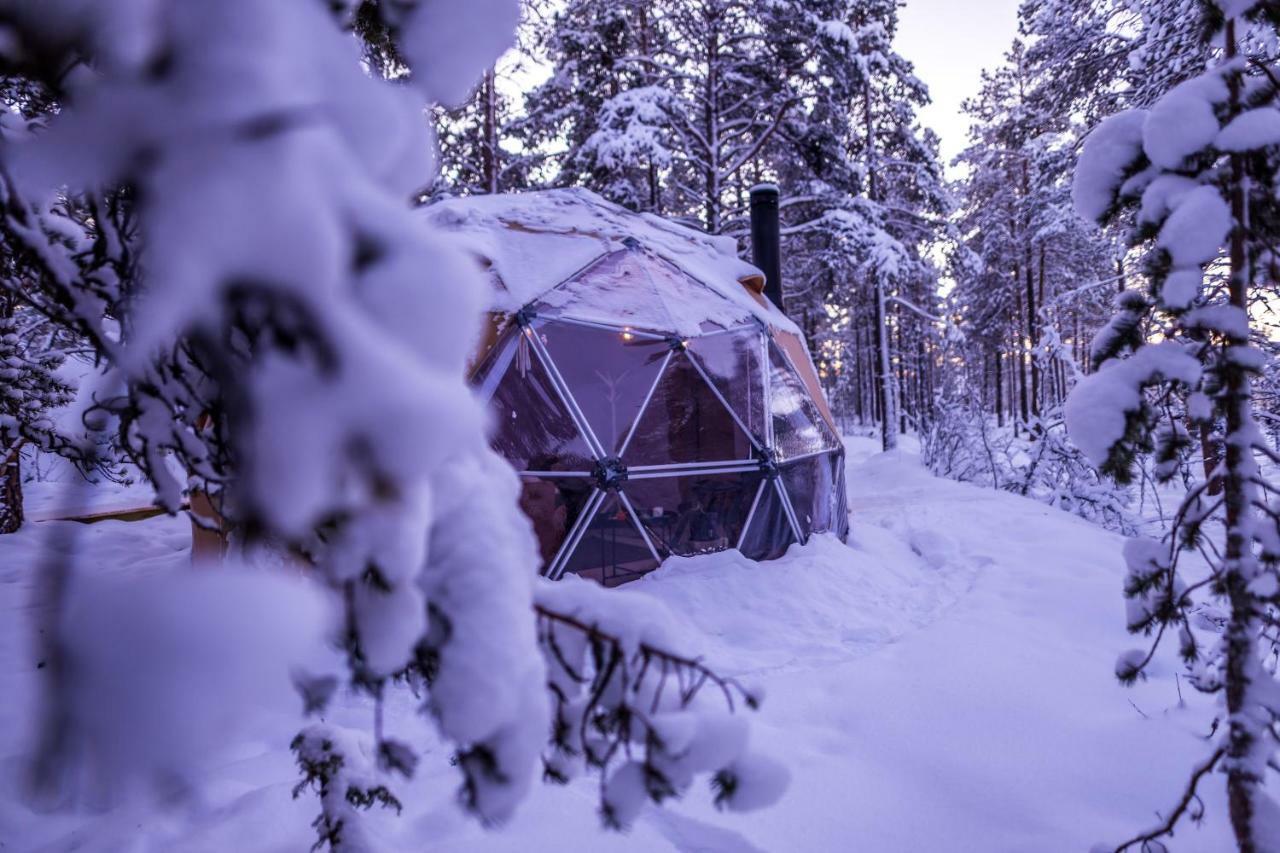 Glod Aurora Canvas Dome Alta Kültér fotó