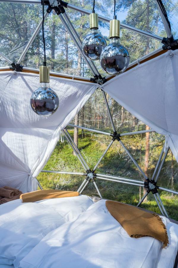 Glod Aurora Canvas Dome Alta Kültér fotó